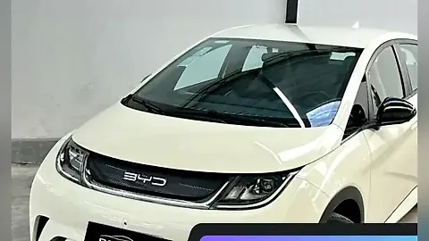 Foto de um byd dolphin
