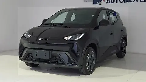 Foto de um byd dolphin