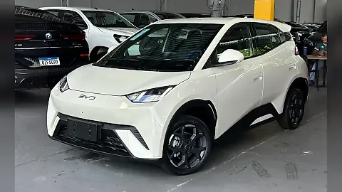 Foto de um byd dolphin mini