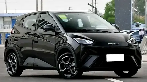 Foto de um byd dolphin mini