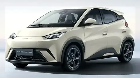 Foto de um byd dolphin