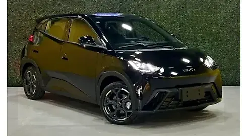 Foto de um byd dolphin mini