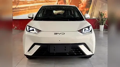 Foto de um byd dolphin mini