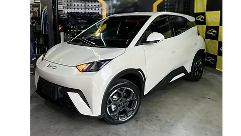 Foto de um byd dolphin mini