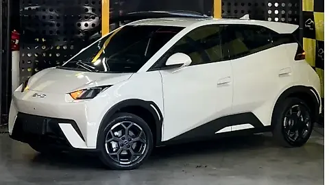 Foto de um byd dolphin mini