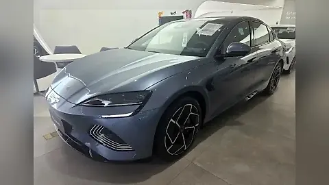 Foto de um byd seal
