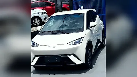 Foto de um byd dolphin mini