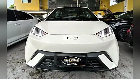 Foto de um byd dolphin mini