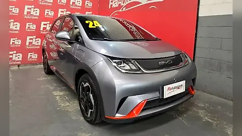 Foto de um byd dolphin