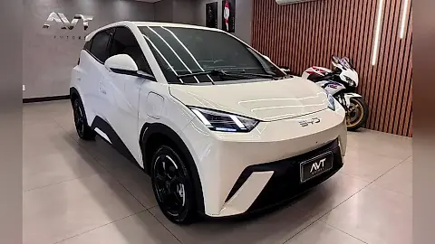 Foto de um byd dolphin