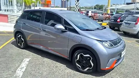 Foto de um byd dolphin