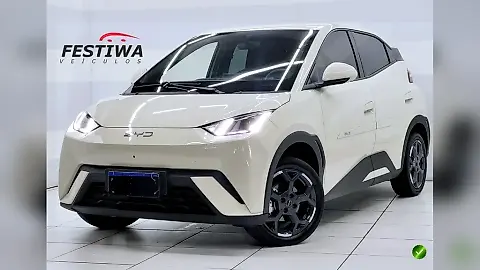 Foto de um byd dolphin mini