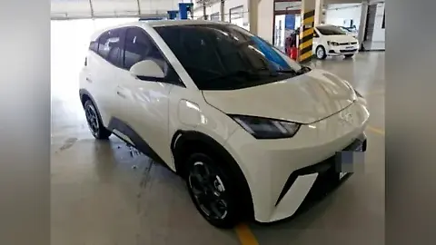 Foto de um byd dolphin mini