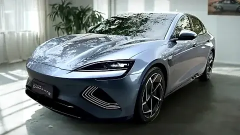 Foto de um byd seal
