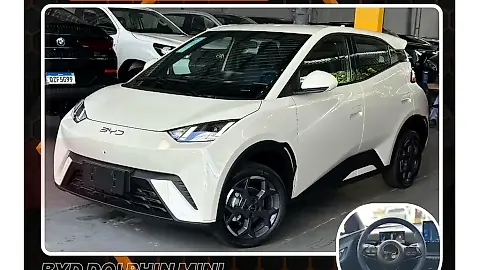 Foto de um byd dolphin mini