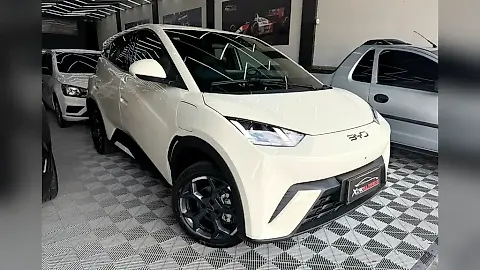 Foto de um byd dolphin mini