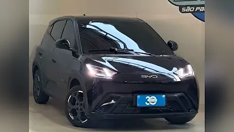 Foto de um byd dolphin mini