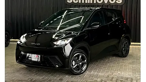 Foto de um byd dolphin