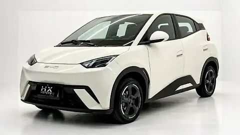 Foto de um byd dolphin mini