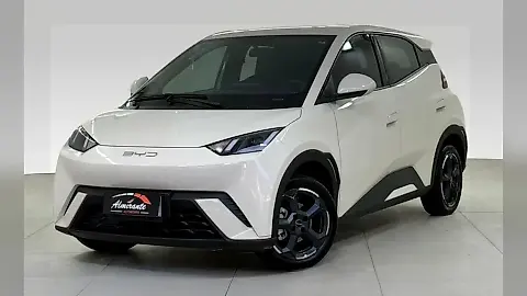 Foto de um byd dolphin