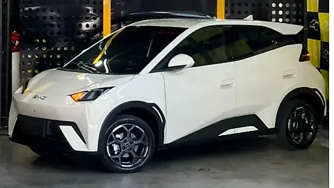 Foto de um byd dolphin mini