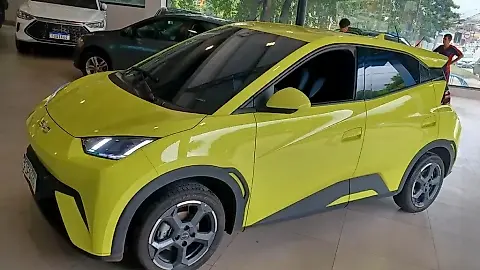 Foto de um byd dolphin mini
