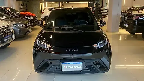 Foto de um byd dolphin mini