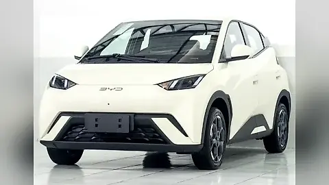 Foto de um byd dolphin