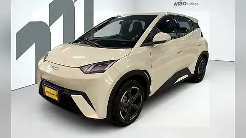 Foto de um byd dolphin mini