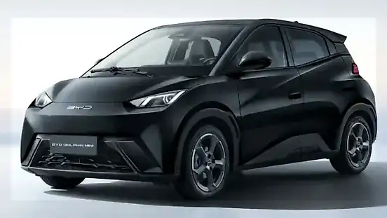 Foto de um byd dolphin mini