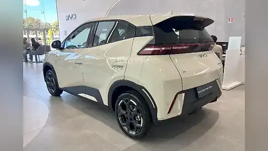 Foto de um byd dolphin mini