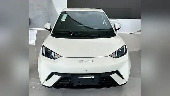 Foto de um byd dolphin mini