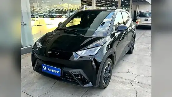 Foto de um byd dolphin mini