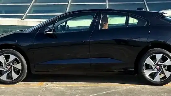 Foto de um jaguar i-pace