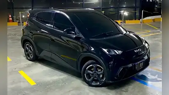 Foto de um byd dolphin mini