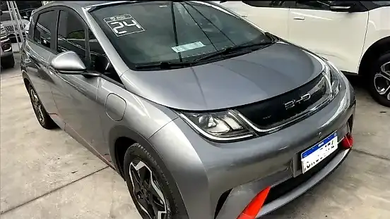 Foto de um byd dolphin