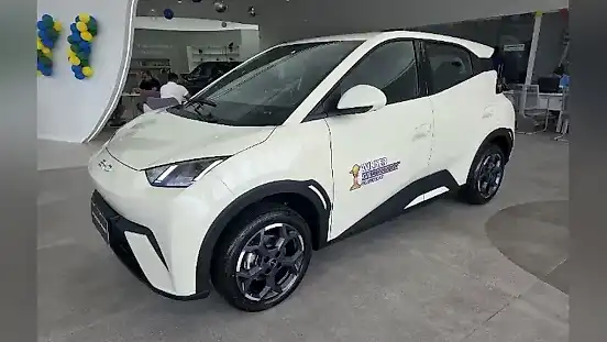 Foto de um byd dolphin mini