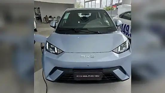 Foto de um byd dolphin mini