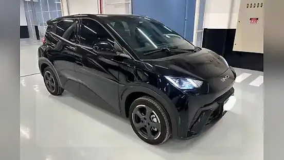 Foto de um byd dolphin mini