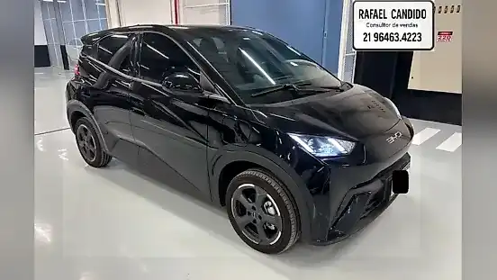 Foto de um byd dolphin mini