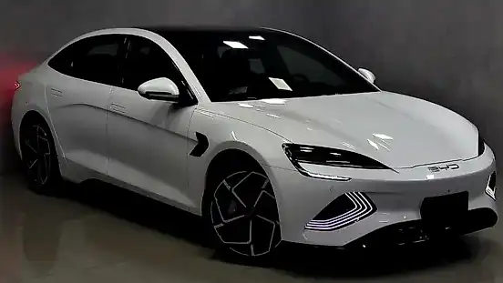 Foto de um byd seal