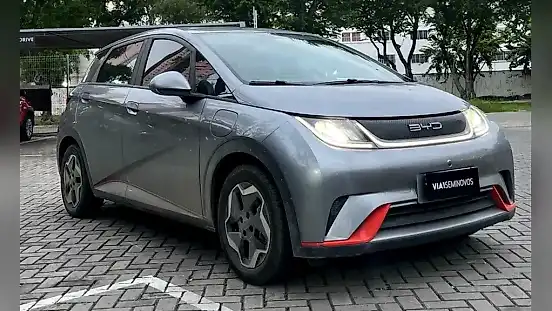 Foto de um byd dolphin