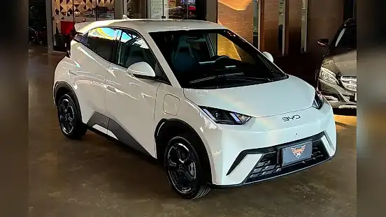 Foto de um byd dolphin mini