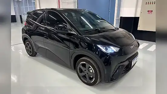 Foto de um byd dolphin mini