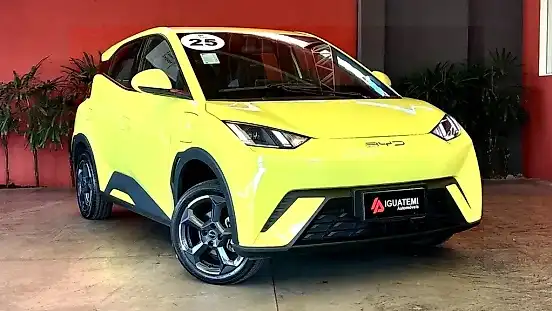 Foto de um byd dolphin mini