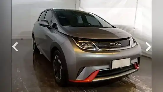 Foto de um byd dolphin