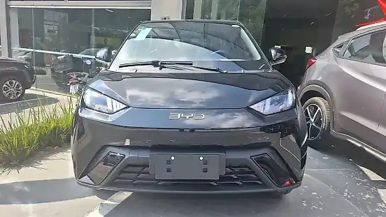 Foto de um byd dolphin mini
