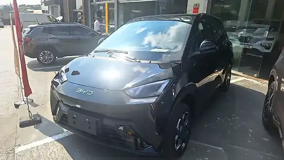 Foto de um byd dolphin mini
