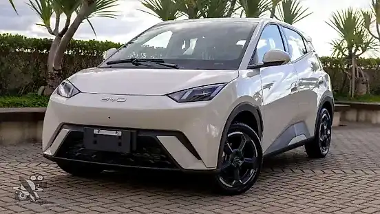 Foto de um byd dolphin mini