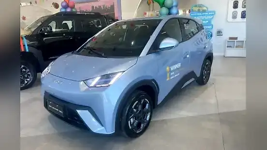Foto de um byd dolphin mini